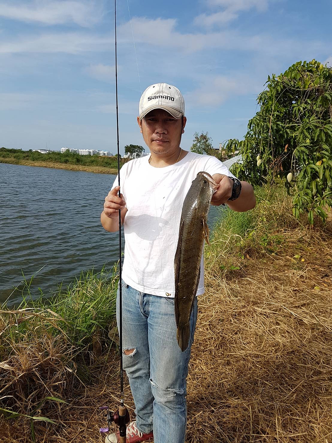 คลาสสิค แนวTexas rig