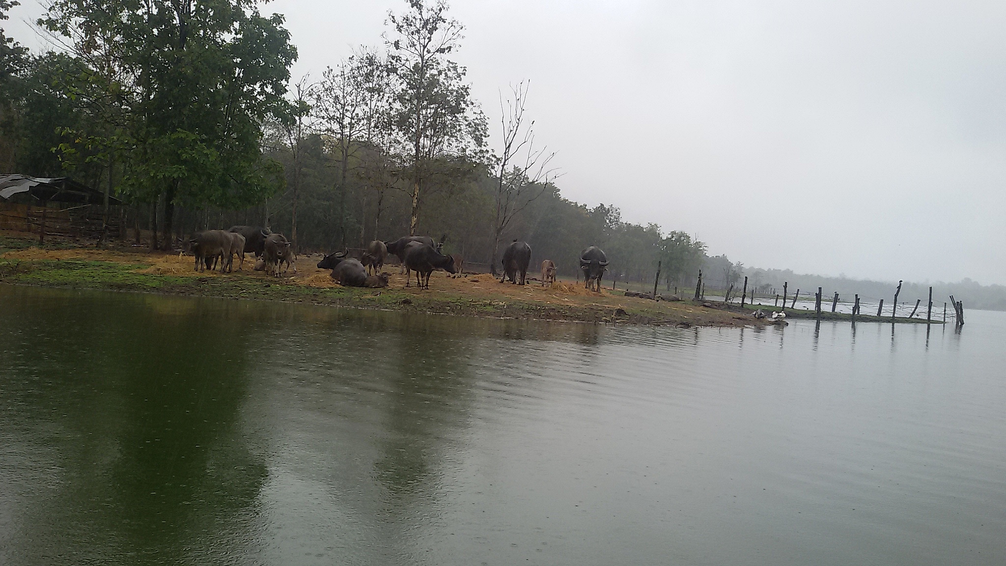 ทั้งหนาวทั้งฝนที่ทับเสลา