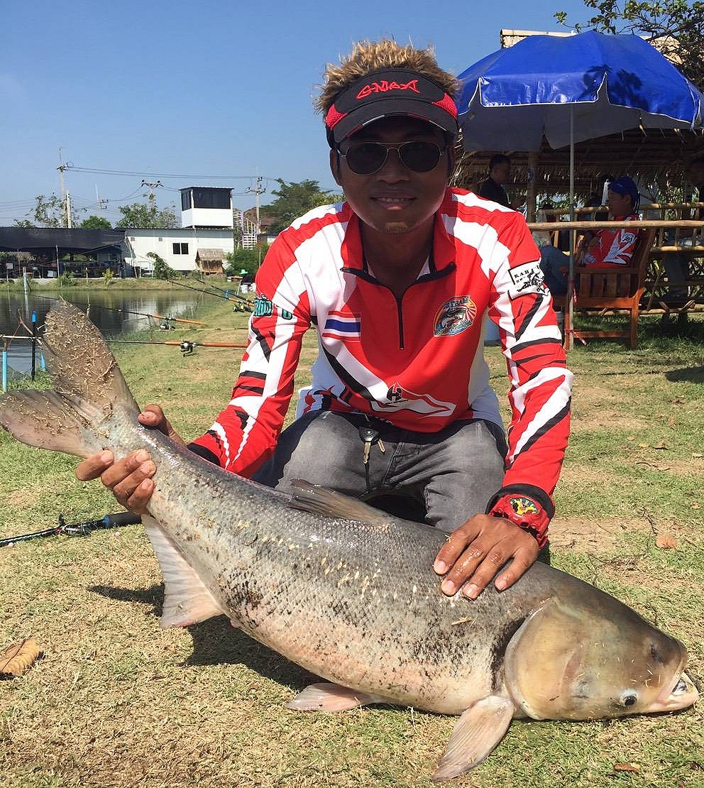 ปลาบึกไซด์มันๆ ณ.บ่อ JJS Fishing พานทอง ชลบุรี