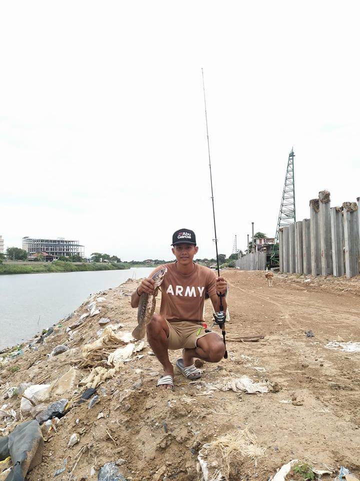 ชะโดเจ้าพระยา