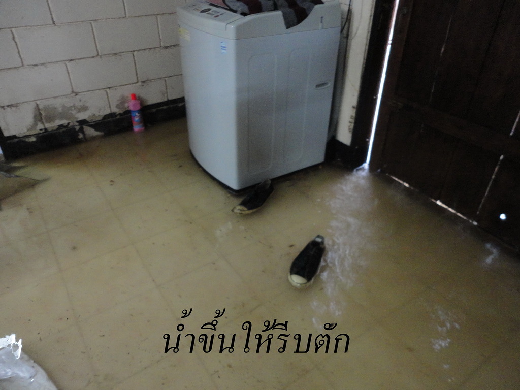 น้ำขึ้นให้รีบตัก & ฝนตกให้รีบจับ