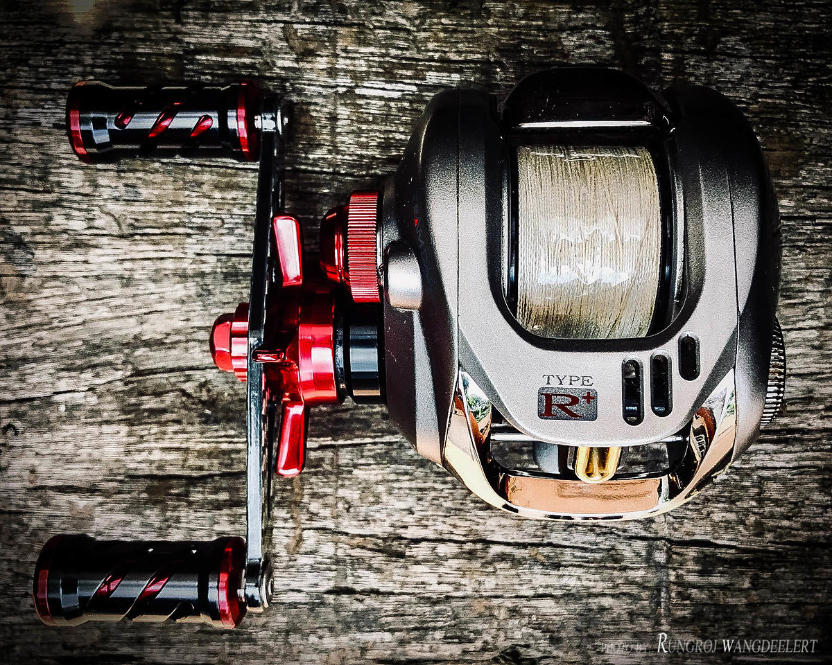  Daiwa TD-Z Type R + (Plus) casting 2004 