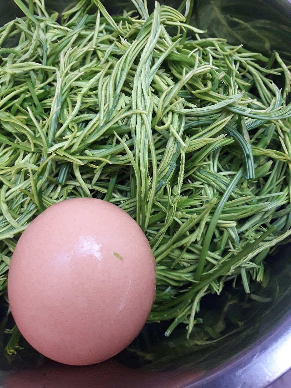 ชะอมชุบไข่ / Fried Egg with Climbing Wattle / 臭菜煎鸡蛋