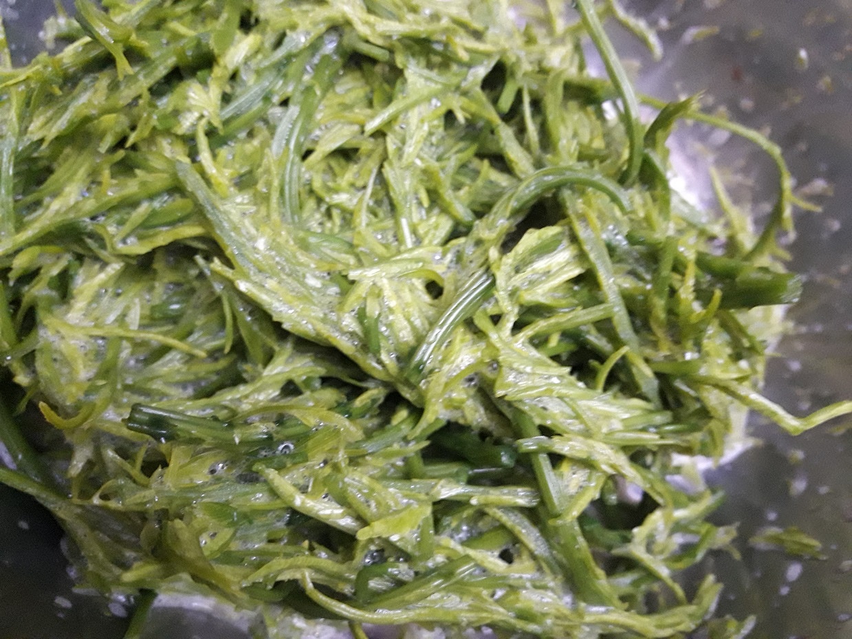 ชะอมชุบไข่ / Fried Egg with Climbing Wattle / 臭菜煎鸡蛋