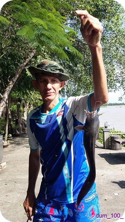 บางคล้า