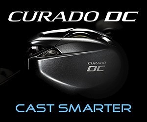 Shimano - Curado DC