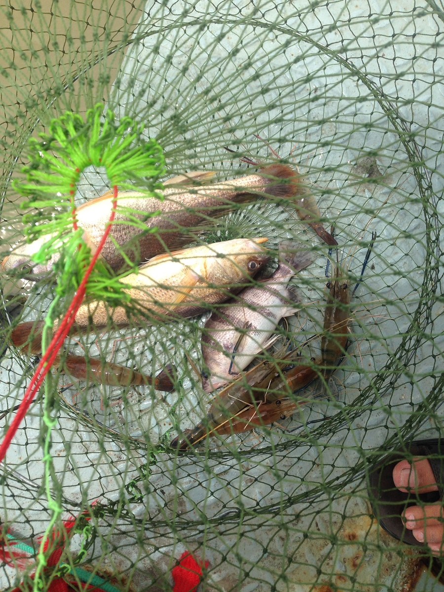 วันหยุดกับกุ้งบางปะกง
