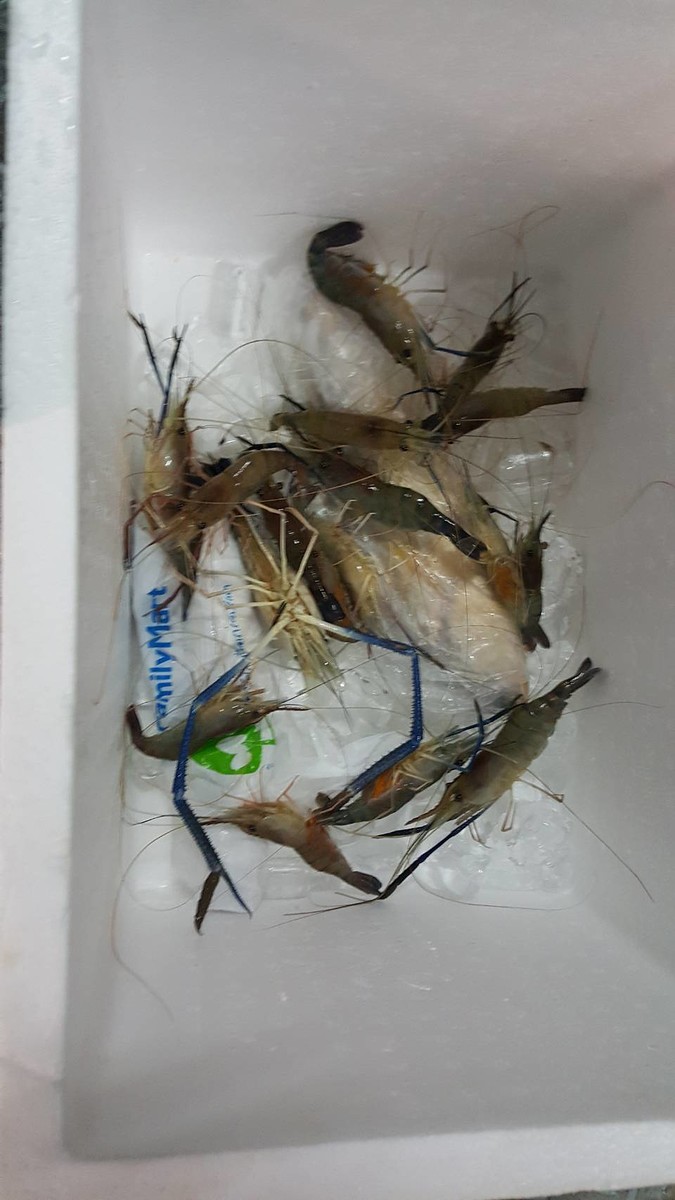 วันหยุดกับกุ้งบางปะกง
