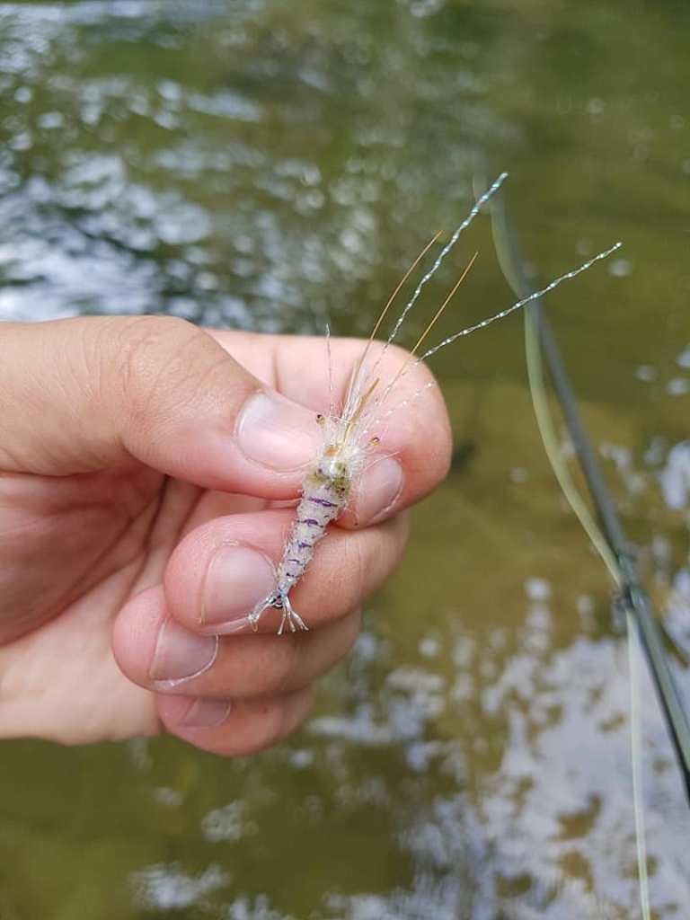 Fly : หนังสั้นวันหยุด มีเวลาแค่ 2ชม.