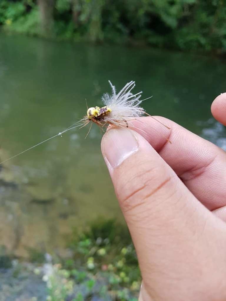 Fly : หนังสั้นวันหยุด มีเวลาแค่ 2ชม.