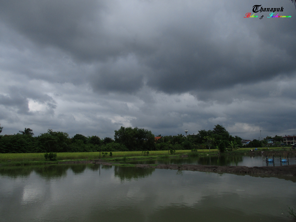 จ่องทุ่นเพลิน ๆ ในวันฝนพลำ ๆ