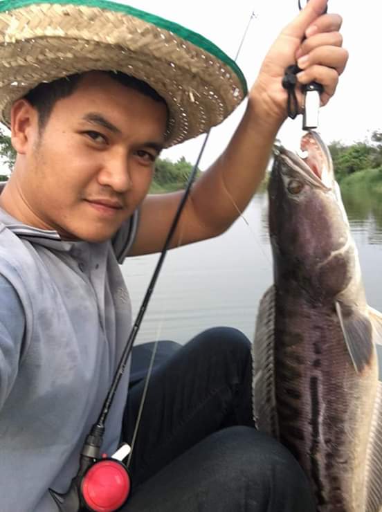 nirvanafishingpark snakehead thailand