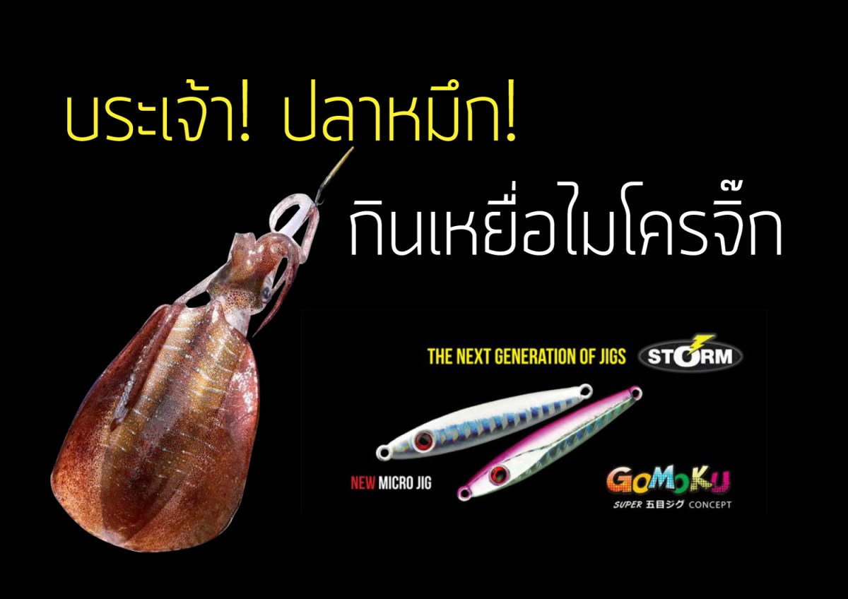 บระเจ้า! ปลาหมึก! กินเหยื่อไหมโครจิ๊ก 