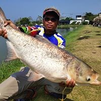 ของดีบ่อ JJS Fishing พานทองชลบุรี