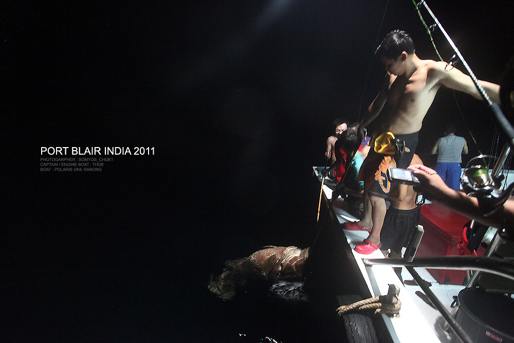 ภาพเก่าๆสวยๆของวันวาน จะย้อนกลับมา มีนาที่รอคอย (2)