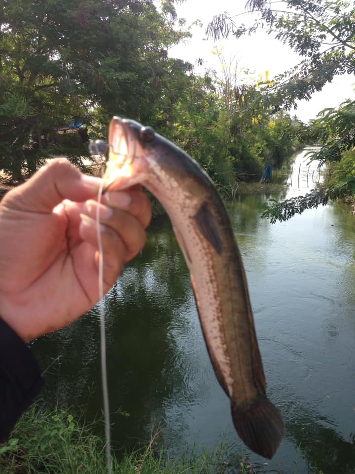 วันที่ช่อนหาตัวยาก