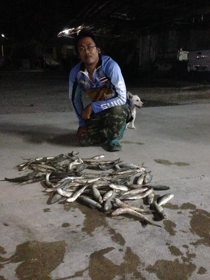 หากุเลาเค็ม