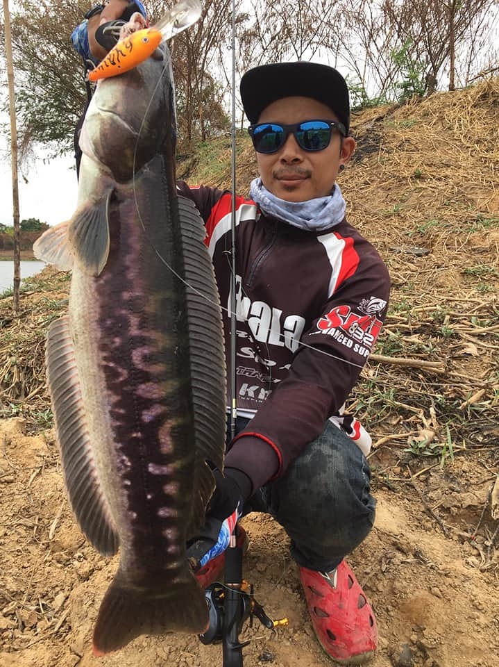 ช ะ โ ด จิ บ  "Rapala RISTO 8"