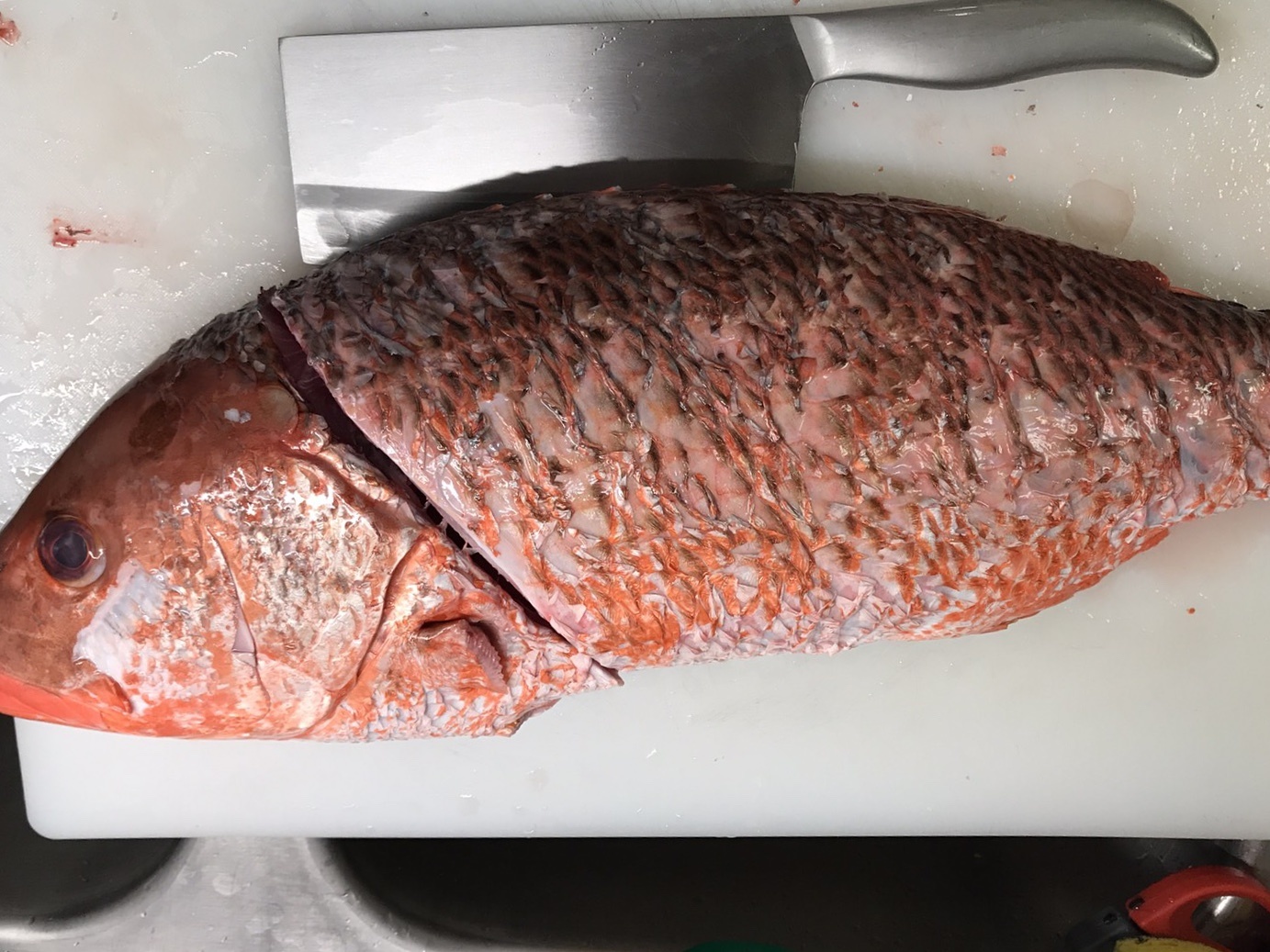 Sichuan boiled fish (Shui Zhu Yu, 水煮鱼)