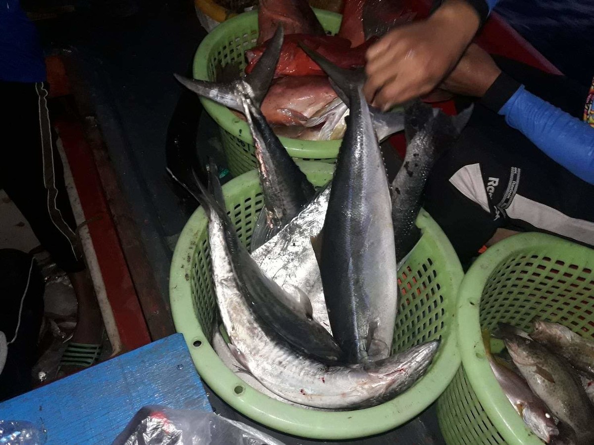 ดองเค็ม ทริบโลซินต้นเดือน เมษา
