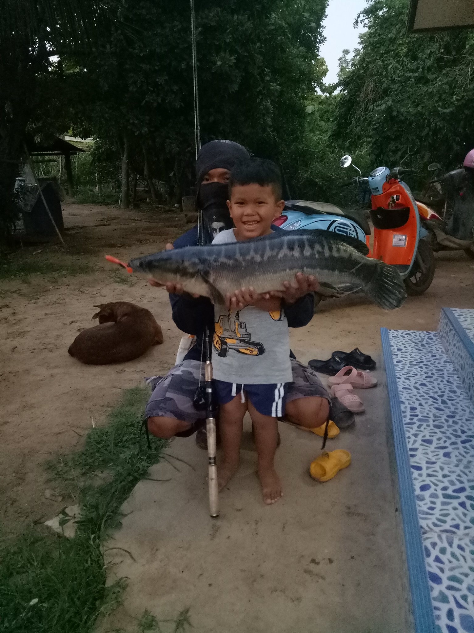 	 ชะโดแม่น้ำมูล ตัวที่ 2 ของปี 2562