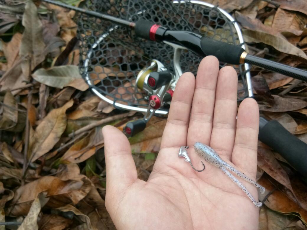 ตกปลาช่อน ด้วยหัวจิ๊ก 