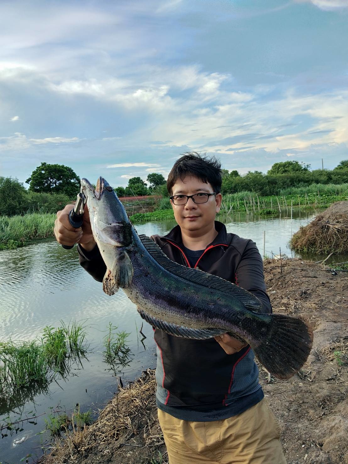 แถวฉะเชิงเทราแถวใหนมีไส้ปลาทูขายมั่งครับ