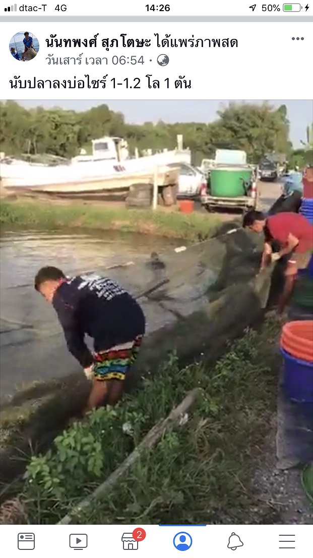 เปิดทริปปลากระพงบุพเฟร์ 2500 บาท ปลา 1 ตันกว่า รับ 40 คันคับ