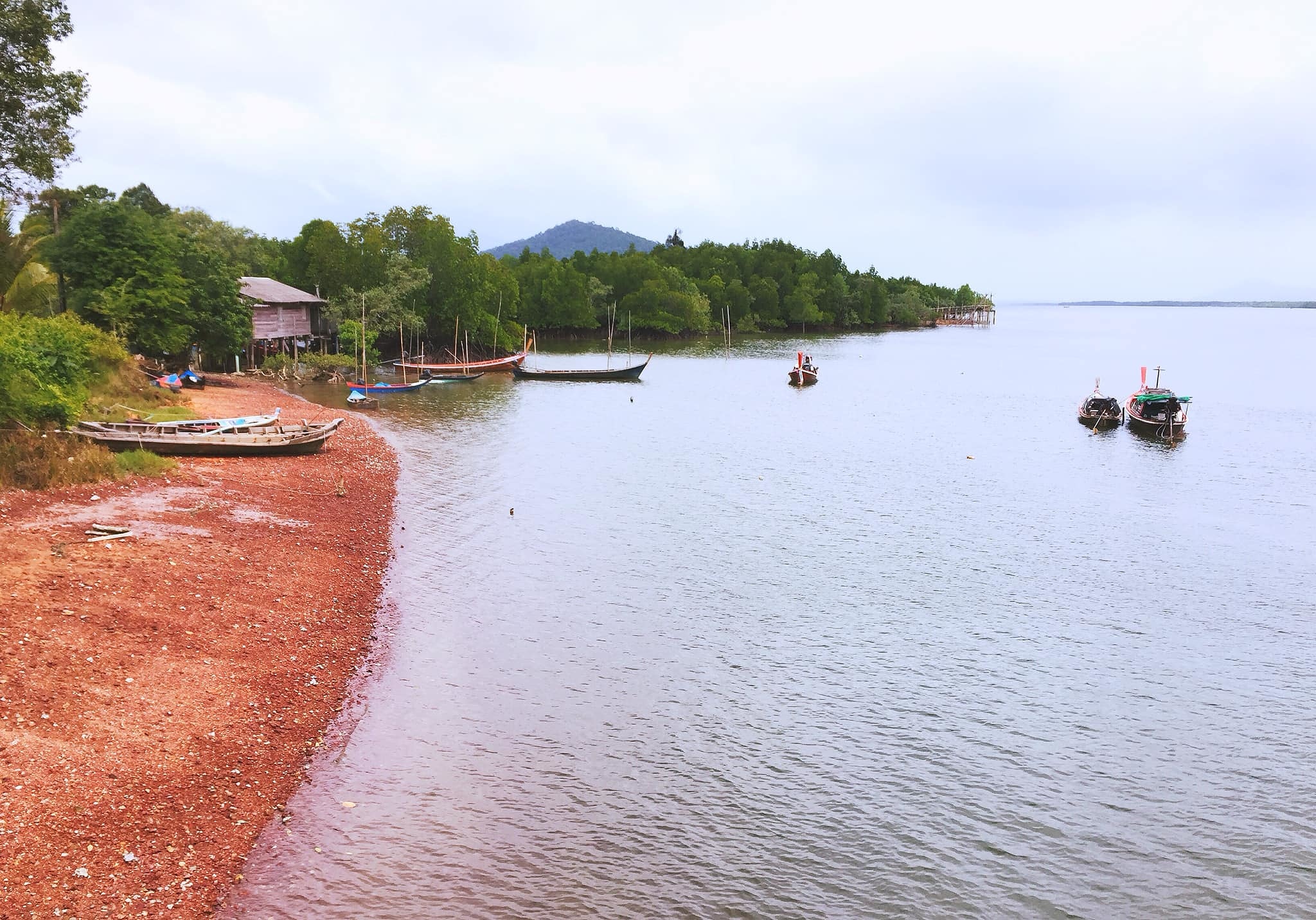 แด่วันฝนพรำ กับกระพงแดง บริเวณท่าเรือแหลมพ่อตา ชายฝั่งทะเลระนองครับ