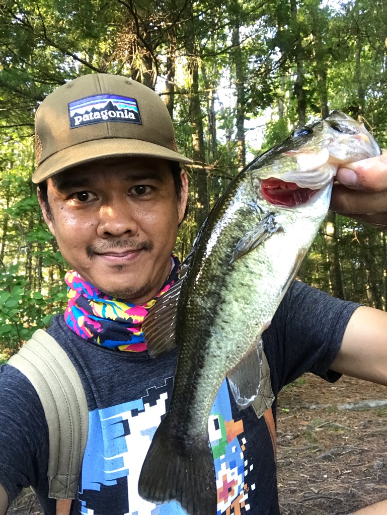Bass fishing in USA