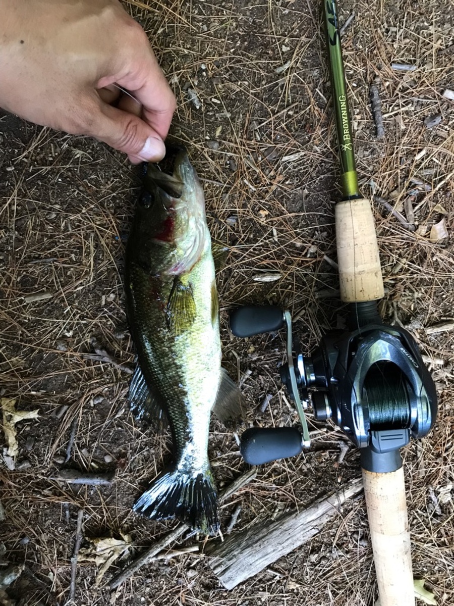 Bass fishing in USA