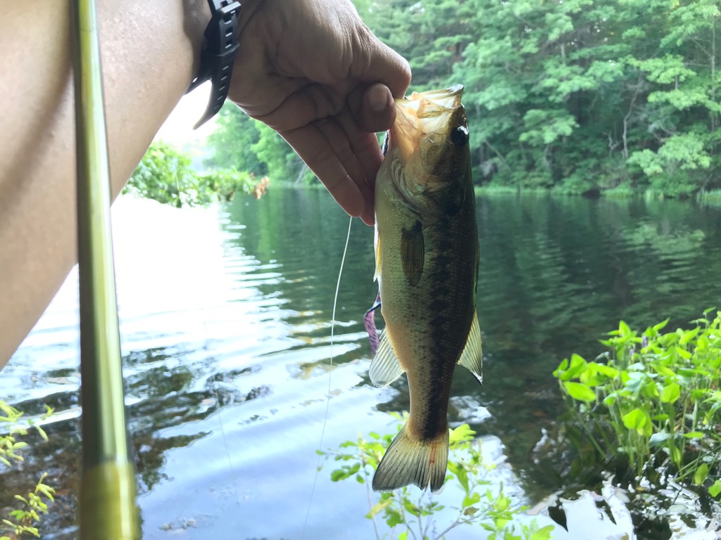 Bass fishing in USA ตอน ถล่มวังลูกปลา - -"