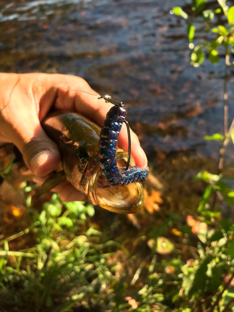 Bass fishing in USA ตอน ถล่มวังลูกปลา - -"