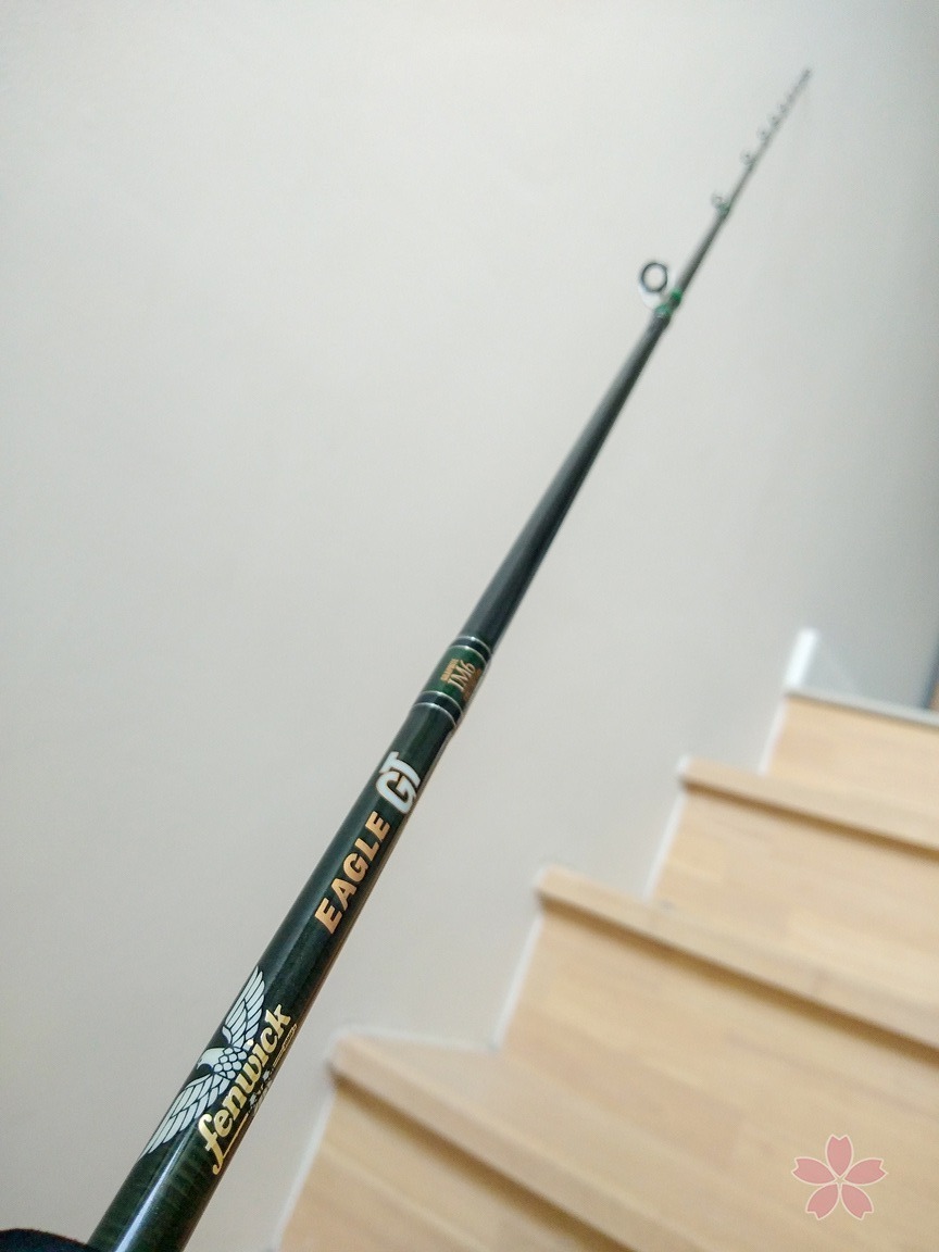 Fenwick Eagle GT light jigging version