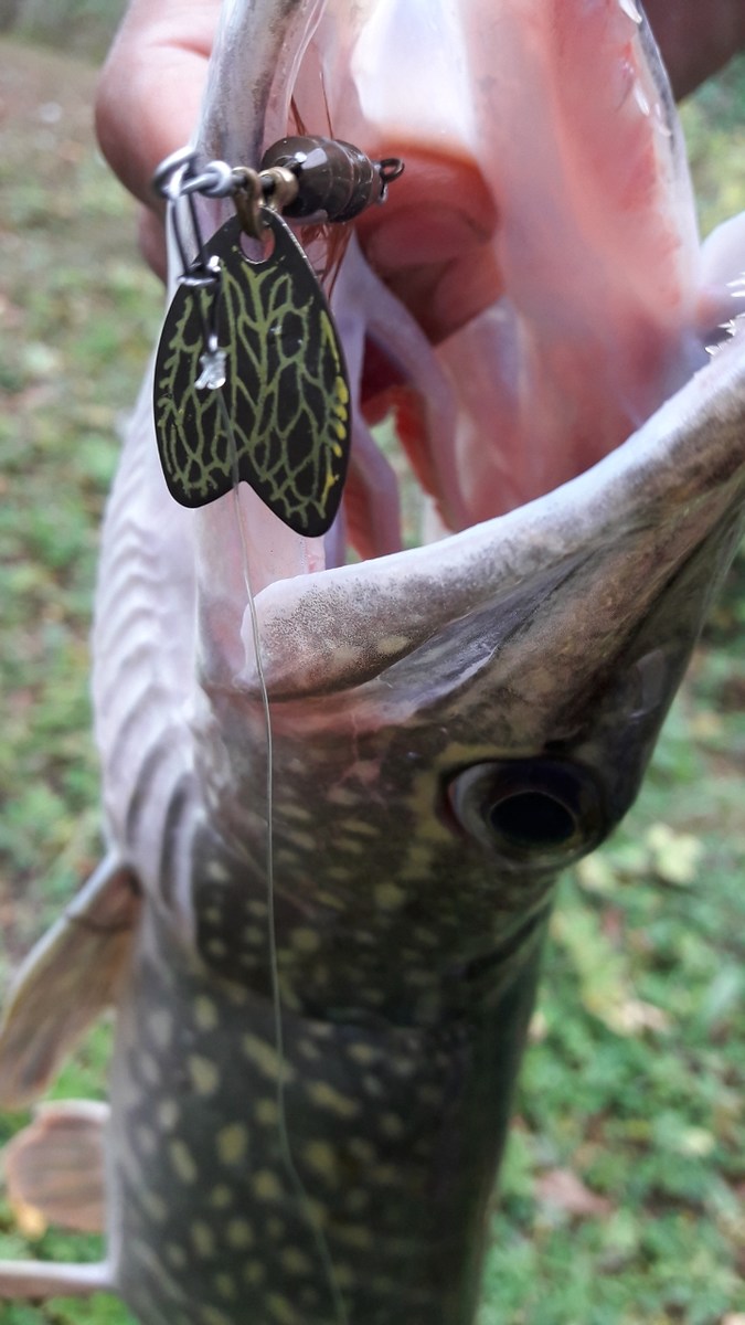 Ultralight Pike fishing.