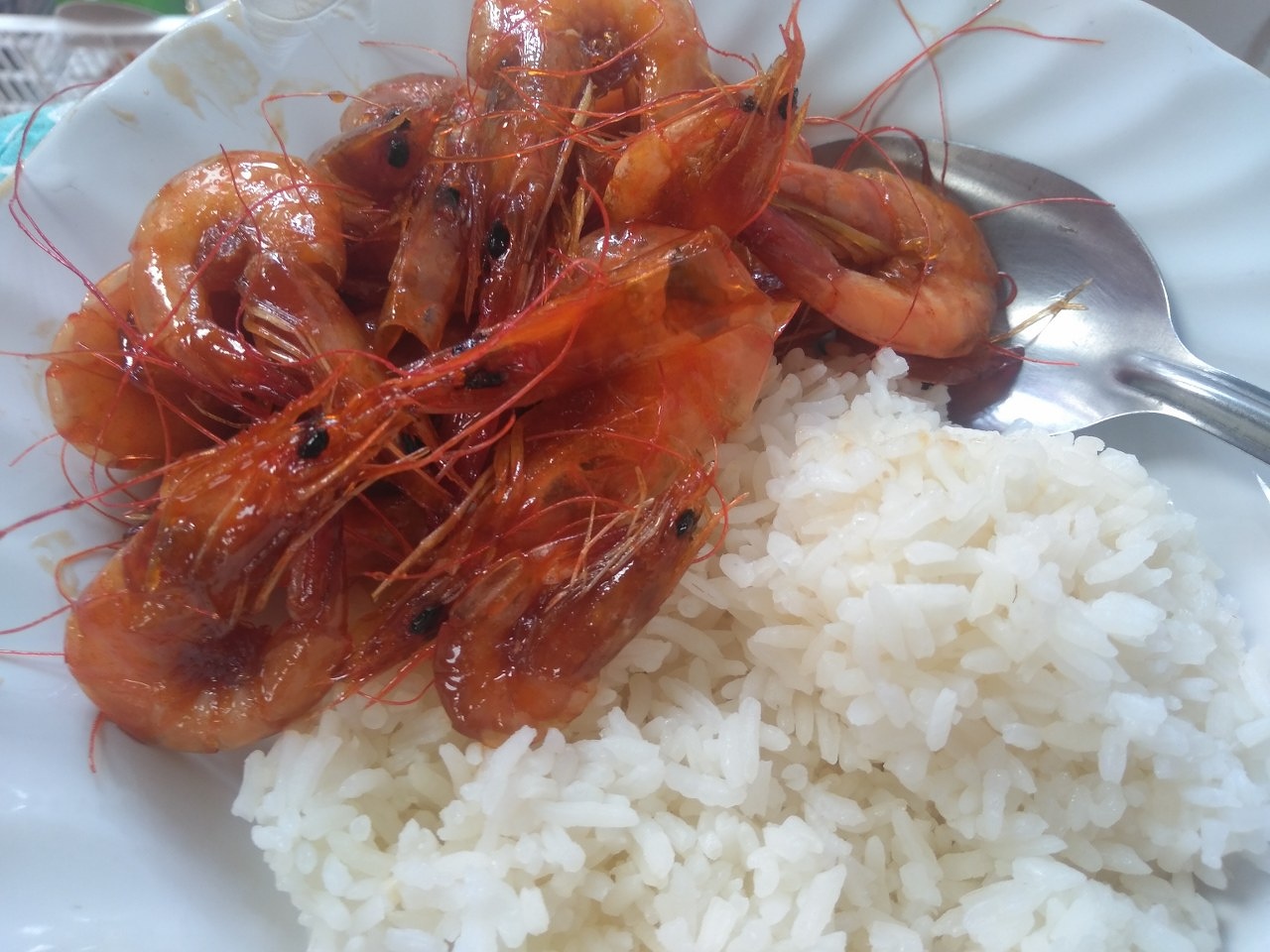 กุ้งหวาน จากกุ้งเหยื่อเหลือๆ ปลาไม่กิน เรากินเองงง