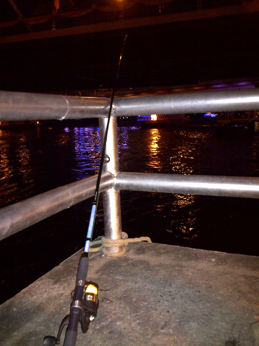 ปลากดทะเล "สะพานพุทธ"^^!!!