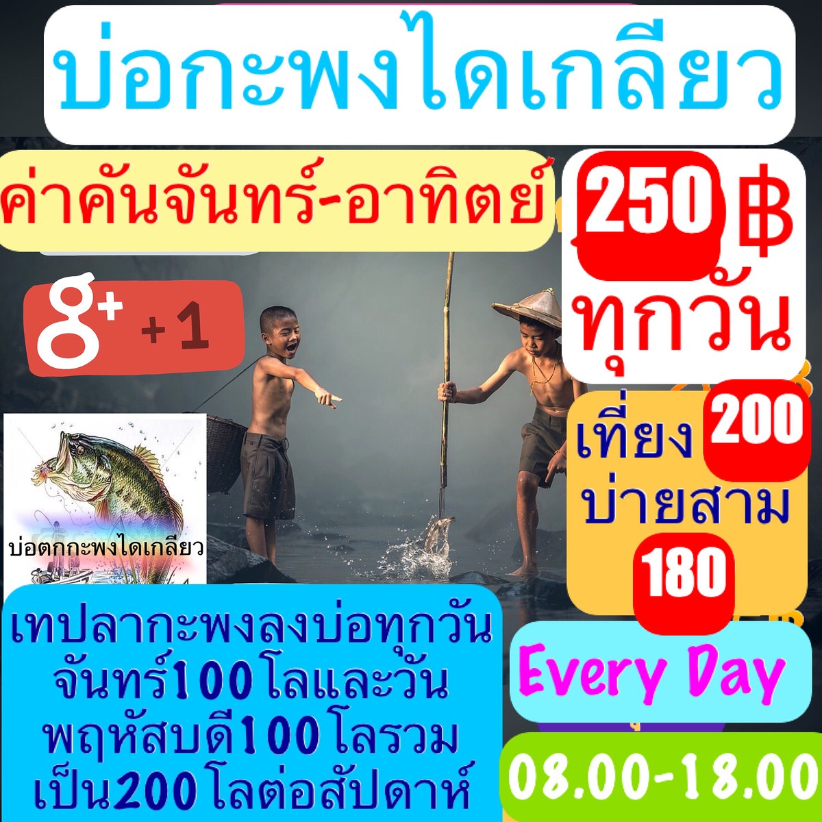 บ่อตกกะพงไดเกลียวค่าคัน250฿เปิดบริการทุกวันครับ