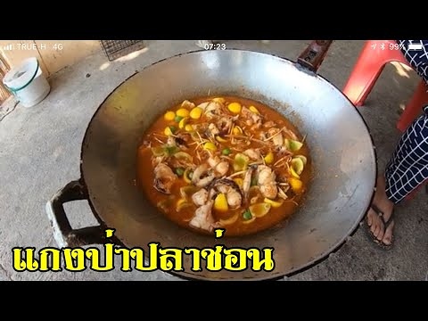 แกงป่าปลาช่อน (มือใหม่หัดถ่าย)