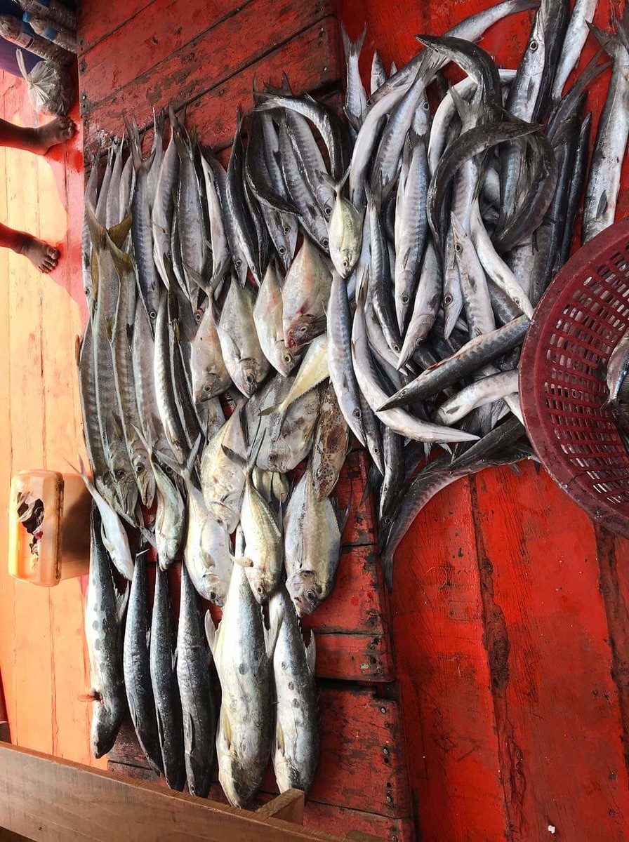 ผลงานทะเลตราดปีนี้ครับ