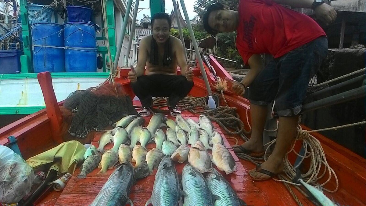 Ryoko Ballista Poplet VS Super Shimuku Bay jigging