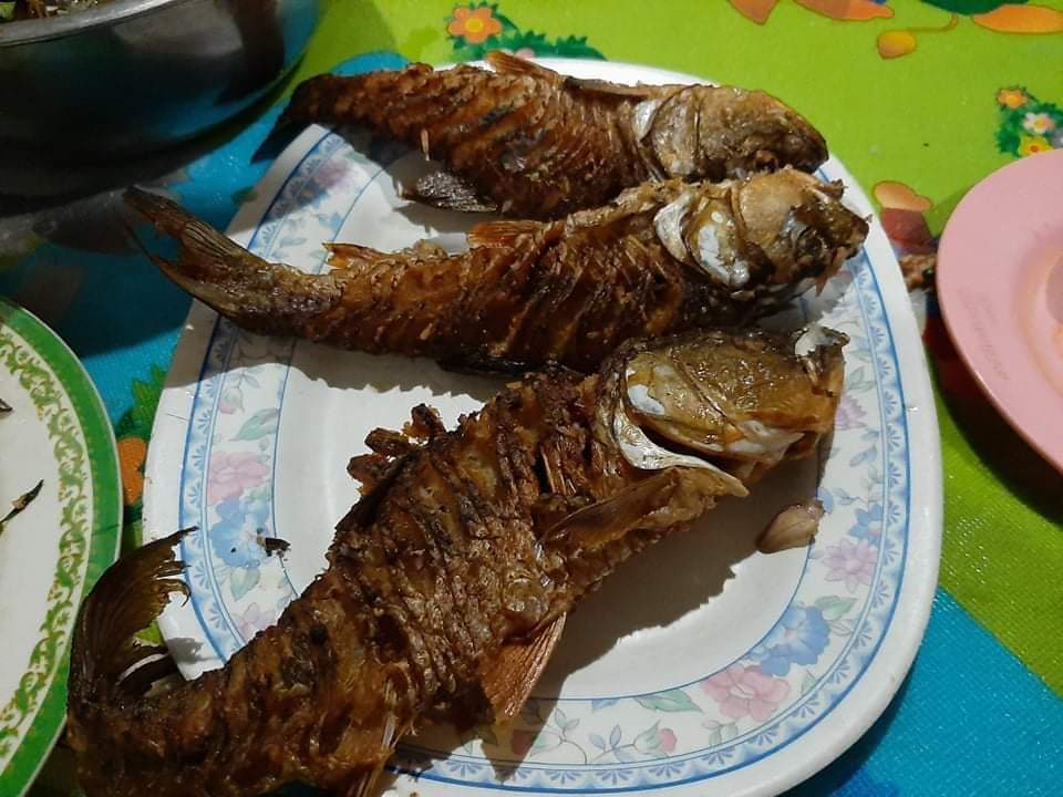 กระสูบน้ำพาน 9-2-2563