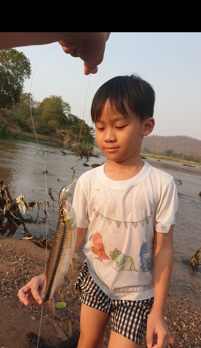 ปลาซิวที่ใหญ่ที่สุดในประเทศไทย