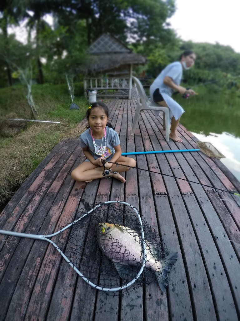 Abu vs Silver Barb & Red bellied pacu