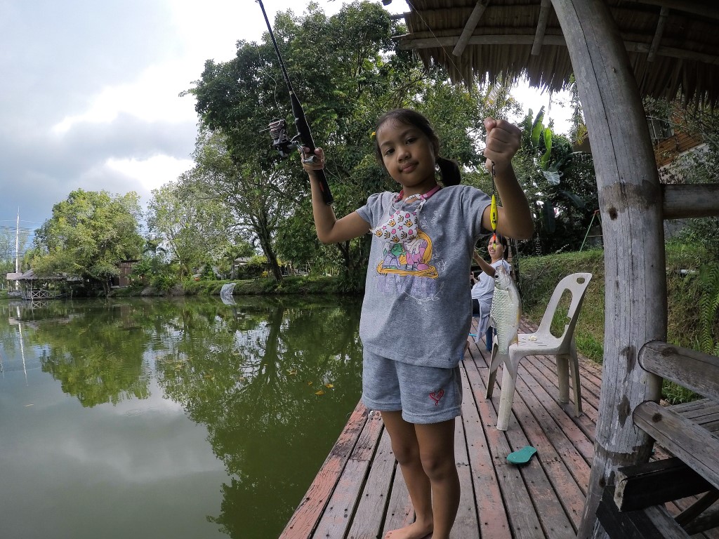 Abu vs Silver Barb & Red bellied pacu