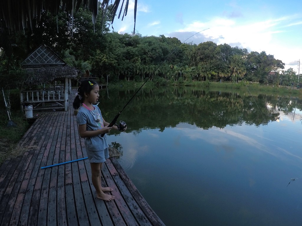 Abu vs Silver Barb & Red bellied pacu