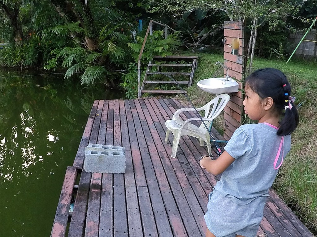 Abu vs Silver Barb & Red bellied pacu