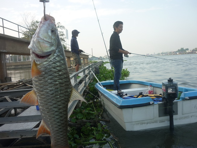 ชวนมาลองดูครับ ทริพตกเอง ขับเอง แวะเอง จัดให้ครับเจ้าพระยาสามโคก