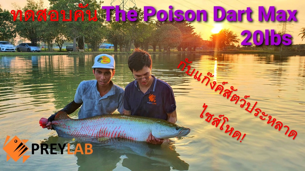 คันรุ่นใหม่ The Poison Dart Max20lbs ไปเทสแบบโหดๆสไตล์ PREYLAB