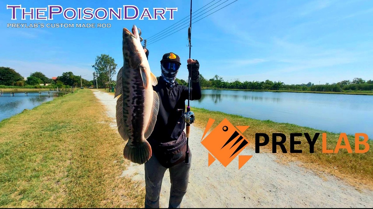 คัน The Poison Dart Max16/20lbs PREYLAB's custom rod